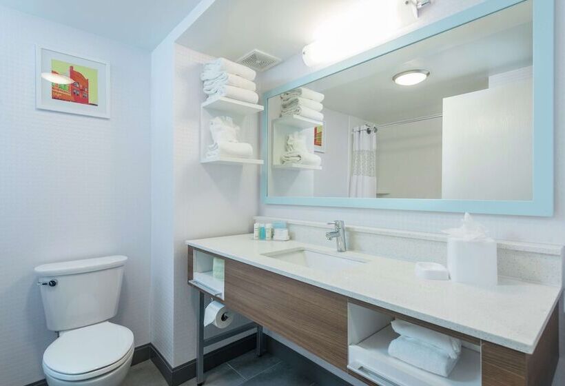 חדר סטנדרט, Hampton Inn Tampaveterans Expwy
