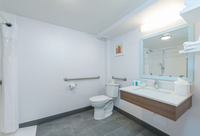 غرفة قياسية, Hampton Inn Tampaveterans Expwy