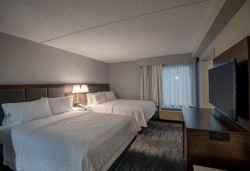 스탠다드 룸 더블 침대 2개, Hampton Inn Waldorf