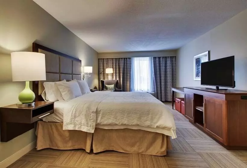 スタンダードルーム, Hampton Inn Warner Robins