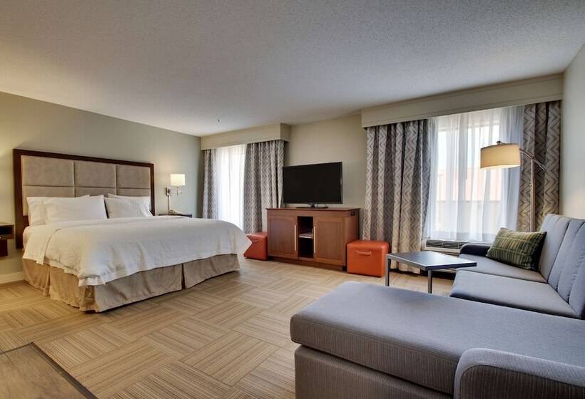 Люкс, Hampton Inn Warner Robins
