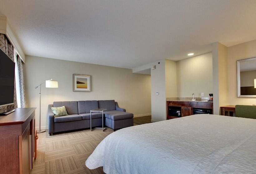 스위트, Hampton Inn Warner Robins