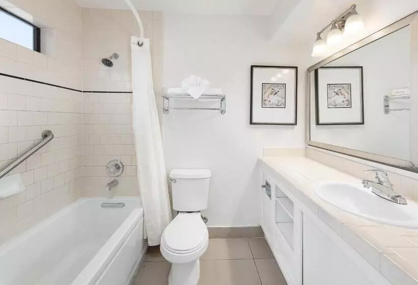 اتاق استاندارد با تخت بزرگ, Pelican Inn & Suites