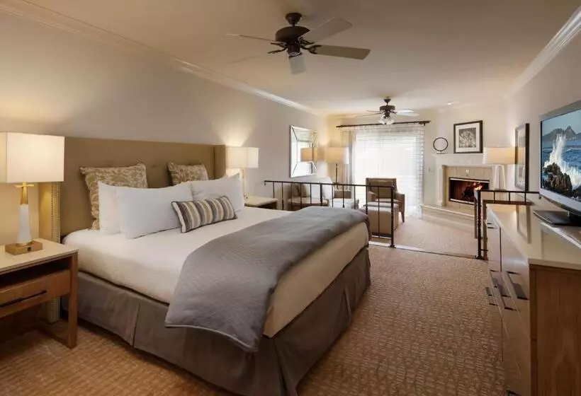 سوئیت با تخت بزرگ, Pelican Inn & Suites