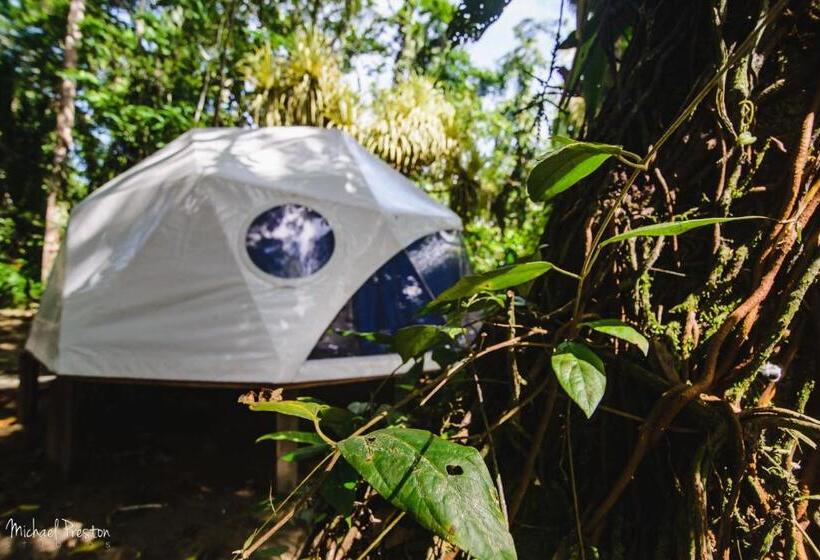 Standard Tent, Faith Glamping Dome Costa Rica