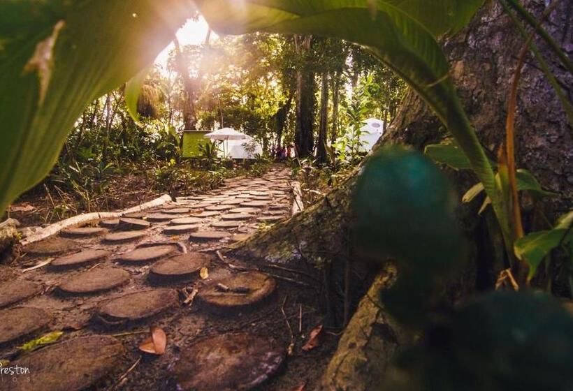 Standard Tent, Faith Glamping Dome Costa Rica