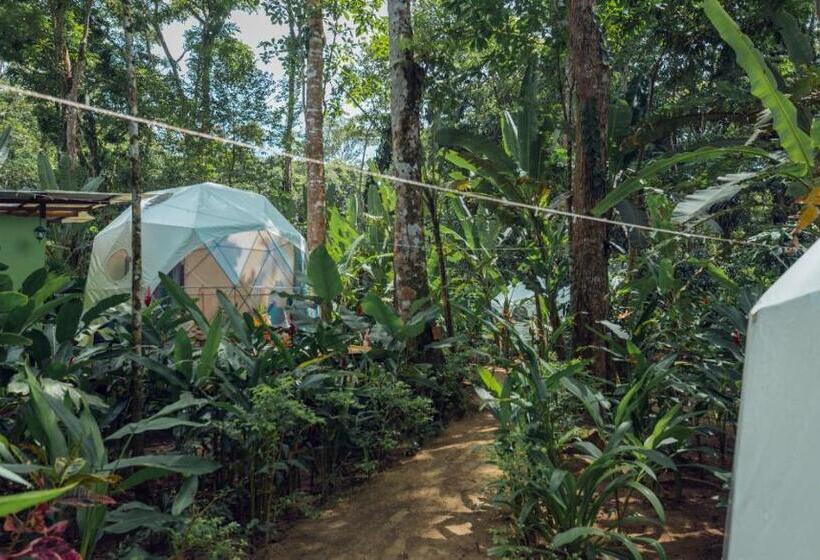 Standard Tent, Faith Glamping Dome Costa Rica