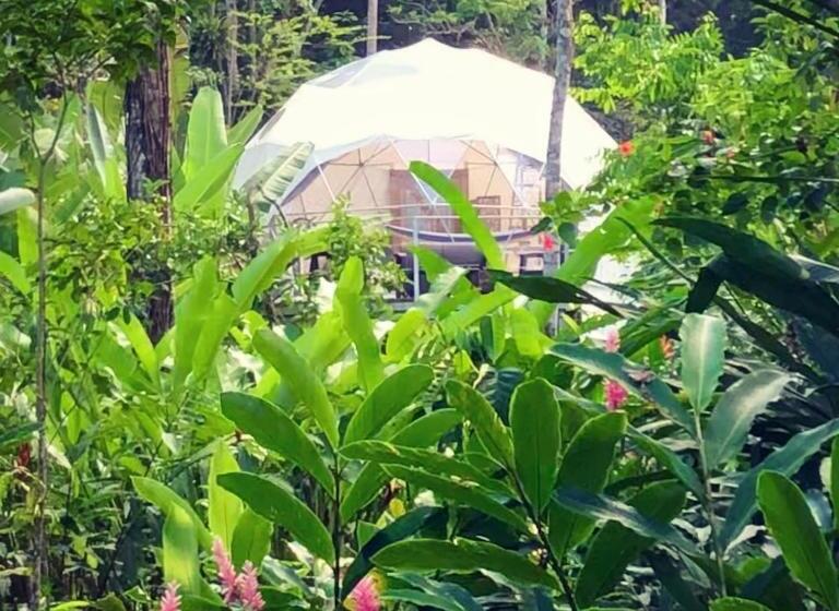 Deluxe Tent, Faith Glamping Dome Costa Rica
