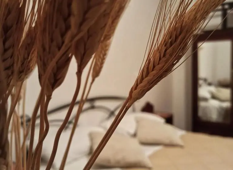 キングサイズベッドのスーペリアルーム, B&b La Masseria Del  700