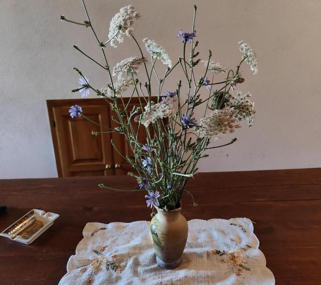 דירת שני חדרים, Agriturismo Podere Chiassaie