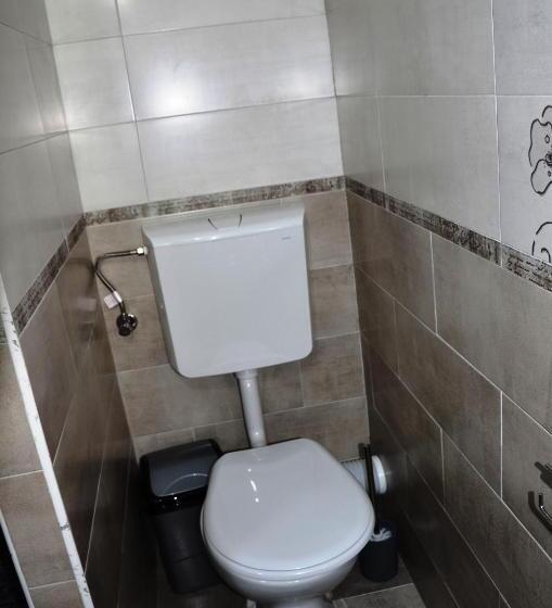 דירה בת חדר שינה 1 עם מרפסת, Pensiunea Panoramic