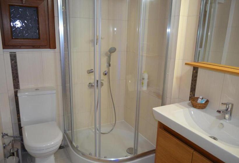 غرفة ديلوكس, Ada Palas Otel