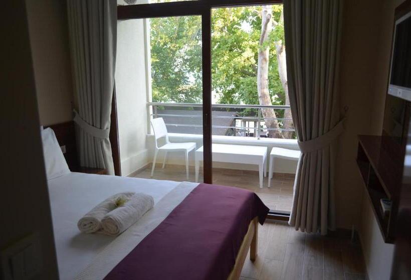 غرفة ديلوكس, Ada Palas Otel