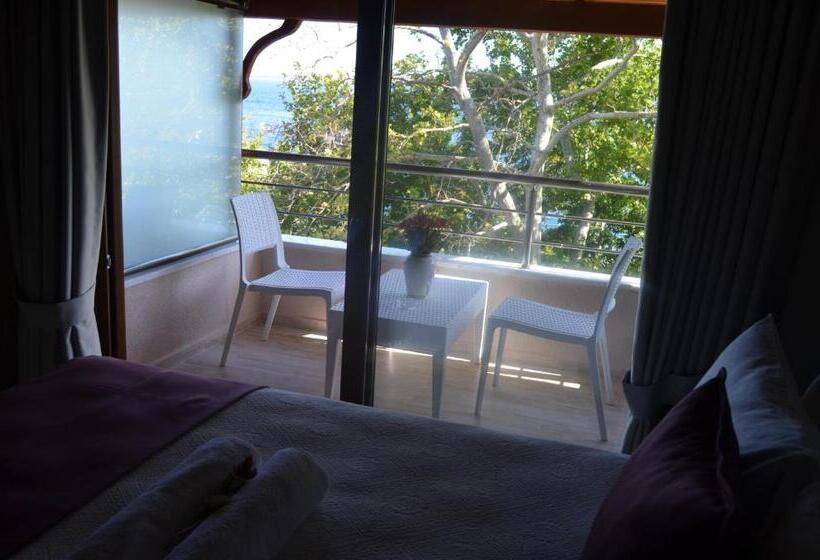 غرفة ديلوكس, Ada Palas Otel