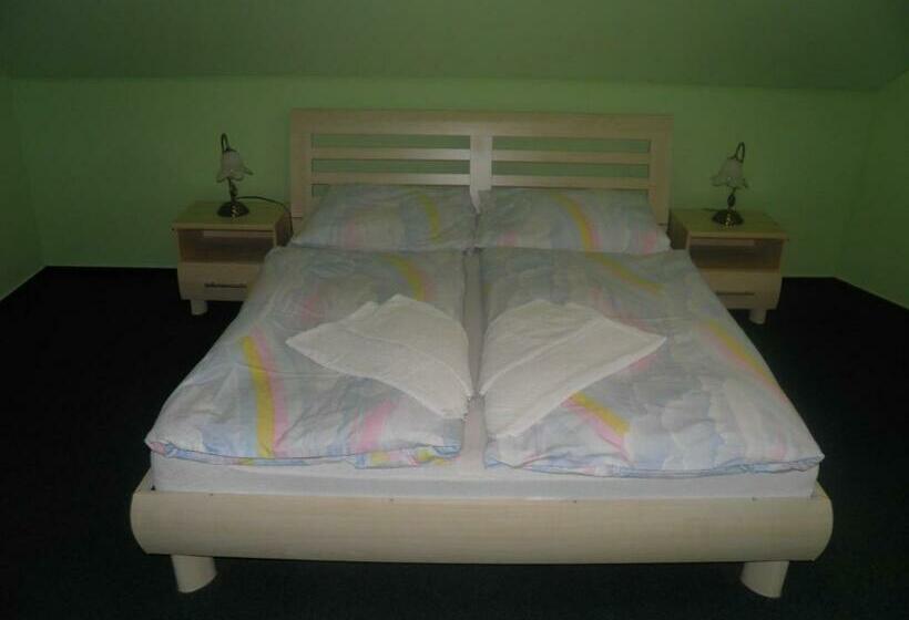 חדר סטנדרט לשלושה, Penzion U Modrého Slona