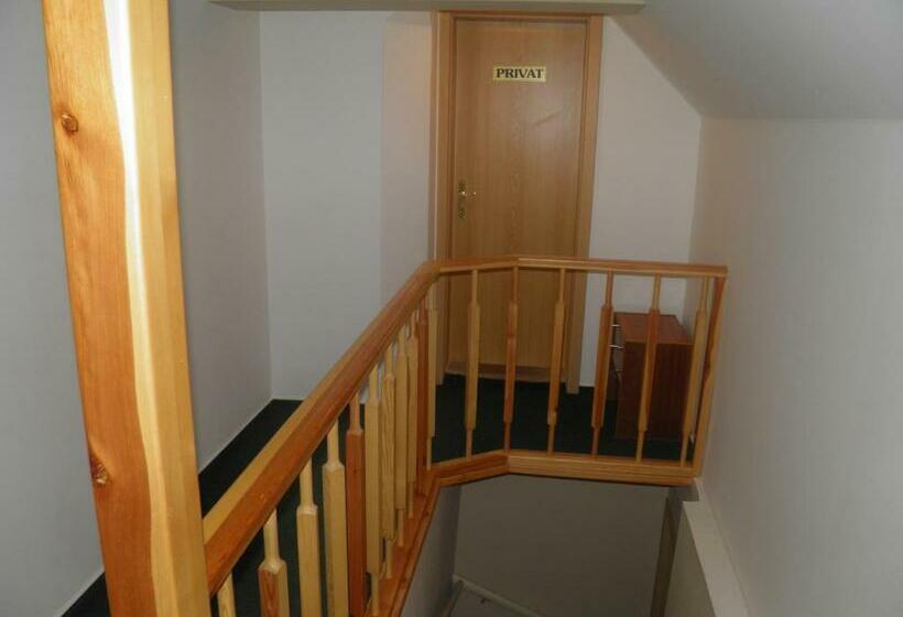 חדר סטנדרט לשלושה, Penzion U Modrého Slona