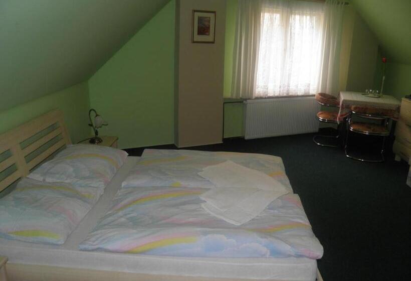 חדר סטנדרט לשלושה, Penzion U Modrého Slona