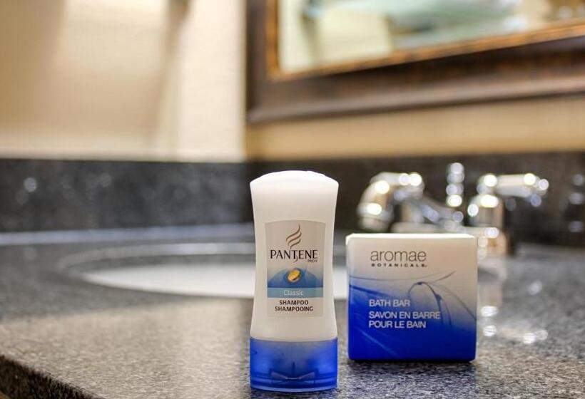 带大床的套房, Best Western Bayou Inn And Suites