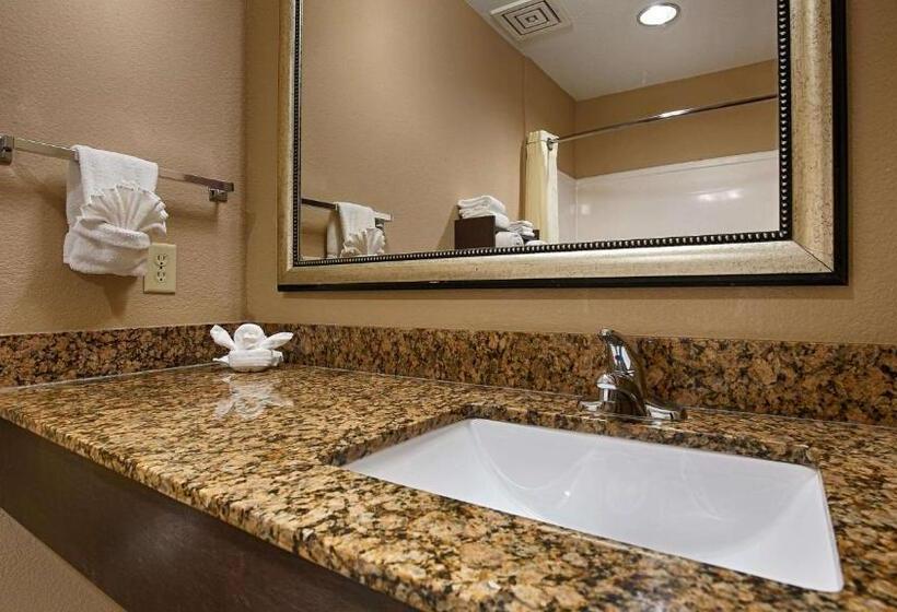 带大床的套房, Best Western Bayou Inn And Suites