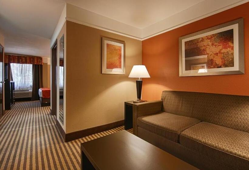 장애인을 위한 킹사이즈 침대 스탠다드 룸, Best Western Bayou Inn And Suites