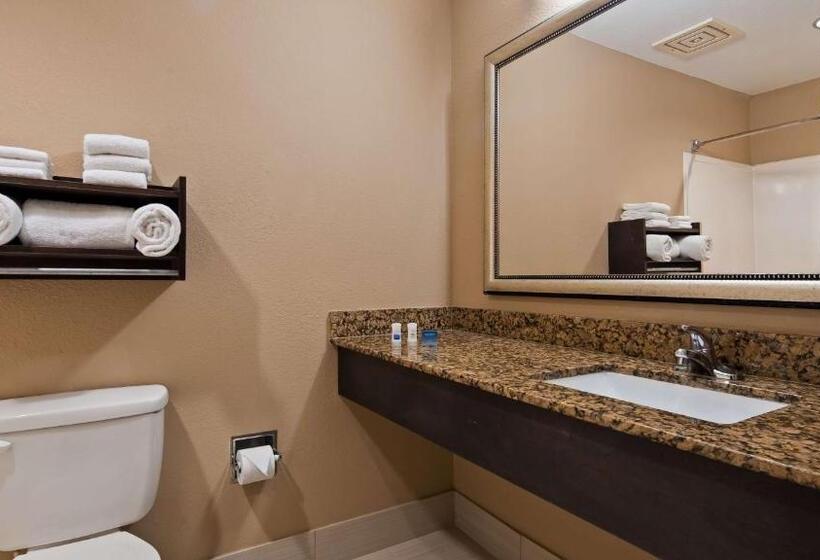 适合残疾人使用的标准间, Best Western Bayou Inn And Suites