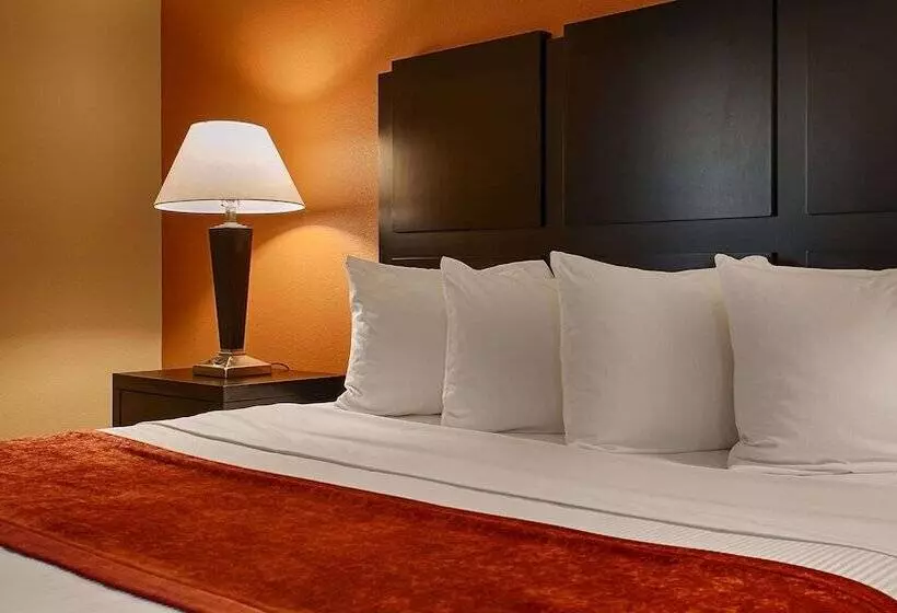 身障者適用スイートルーム, Best Western Bayou Inn And Suites