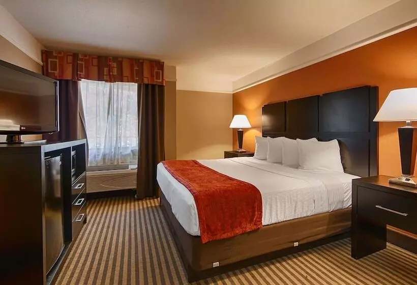 身障者適用スイートルーム, Best Western Bayou Inn And Suites