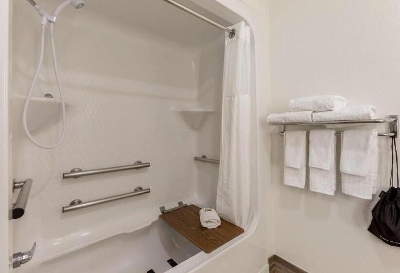 스탠다드 룸 킹사이즈 침대, Best Western Plus Yuma Foothills Inn & Suites