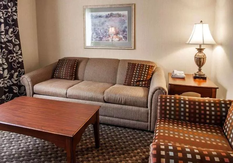 キングサイズベッドのスイートルーム, Comfort Suites