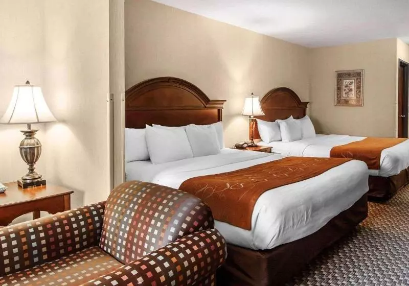 キングサイズベッドのスイートルーム, Comfort Suites