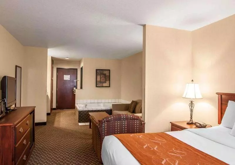 キングサイズベッドのスイートルーム, Comfort Suites