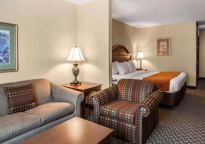 キングサイズベッドのスイートルーム, Comfort Suites
