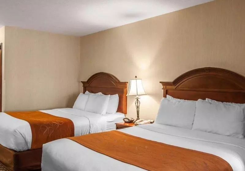 キングサイズベッドのスイートルーム, Comfort Suites