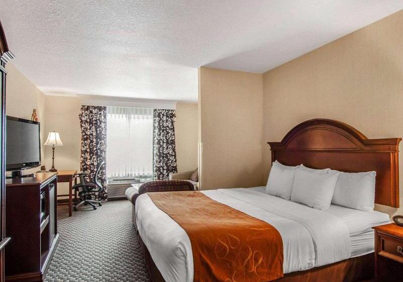 جناح سرير كينج, Comfort Suites