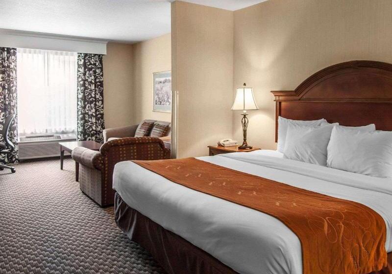 Люкс Кровать Кинг, Comfort Suites