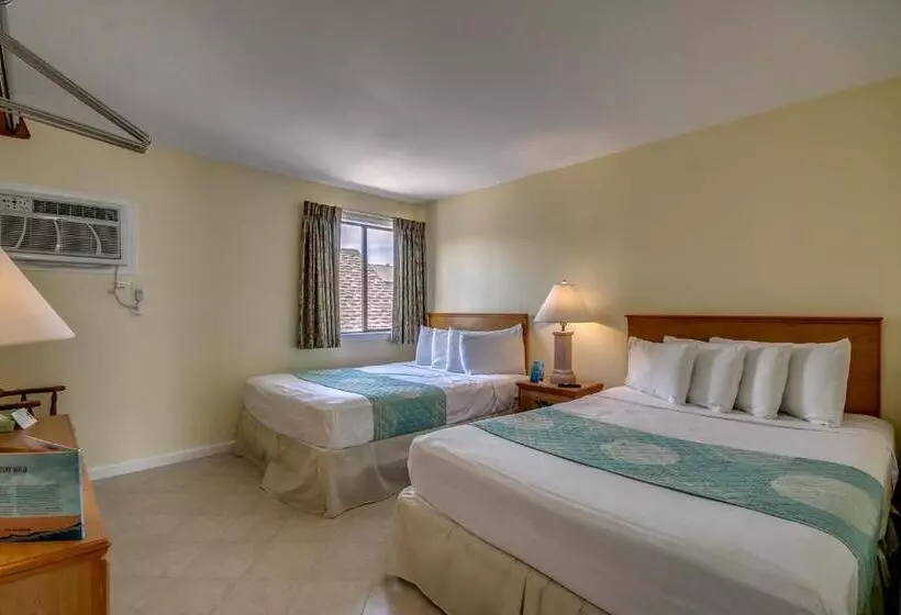 スイート, Daytona Inn And Suites