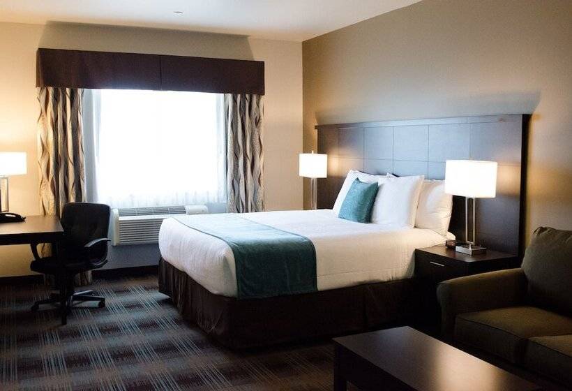 جناح إدارى سرير كينج, Inn At Moses Lake