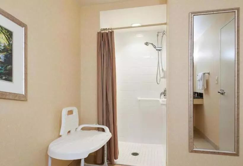 キングサイズベッドのスタンダードルーム, Spartanburg Marriott