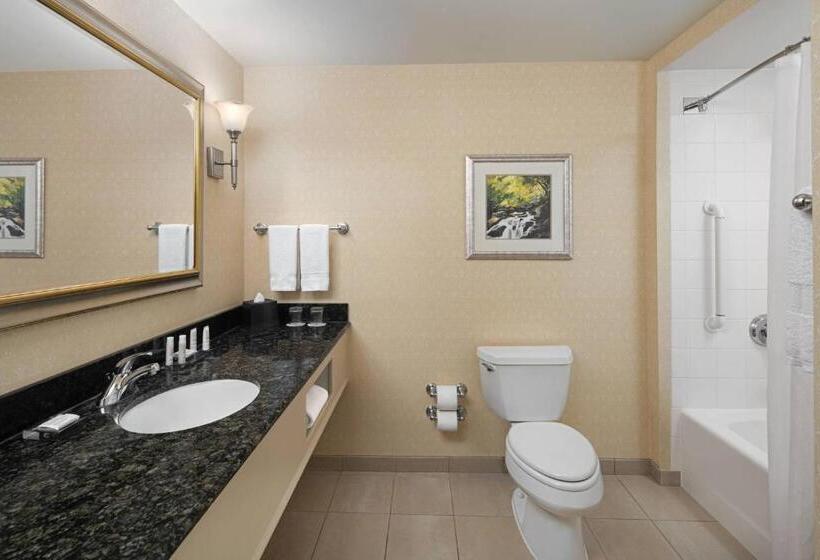 غرفة سوبيريور, Spartanburg Marriott