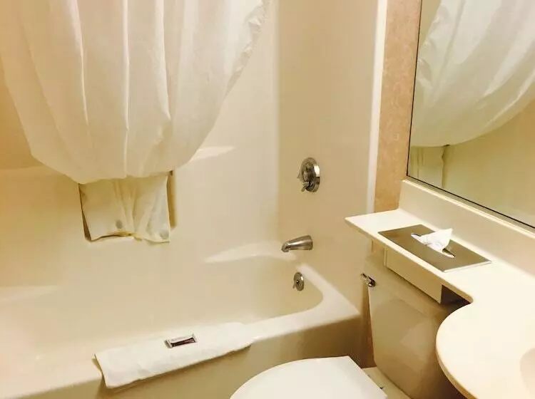 スイート, Microtel Inn & Suites By Wyndham Syracuse Baldwinsville