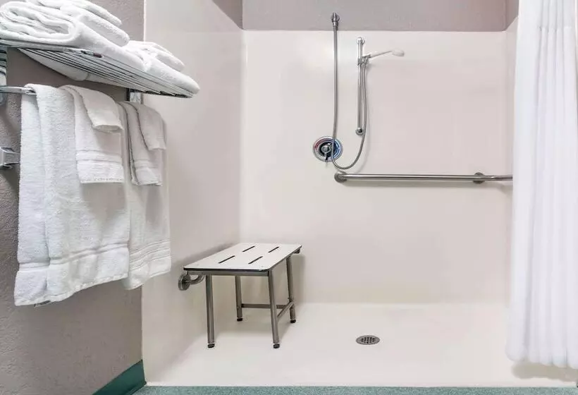 身障者適用スタンダードルーム, Microtel Inn & Suites By Wyndham New Ulm