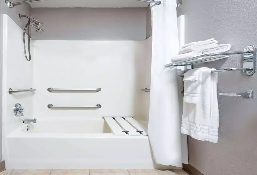身障者適用スタンダードルーム, Microtel Inn & Suites By Wyndham New Ulm