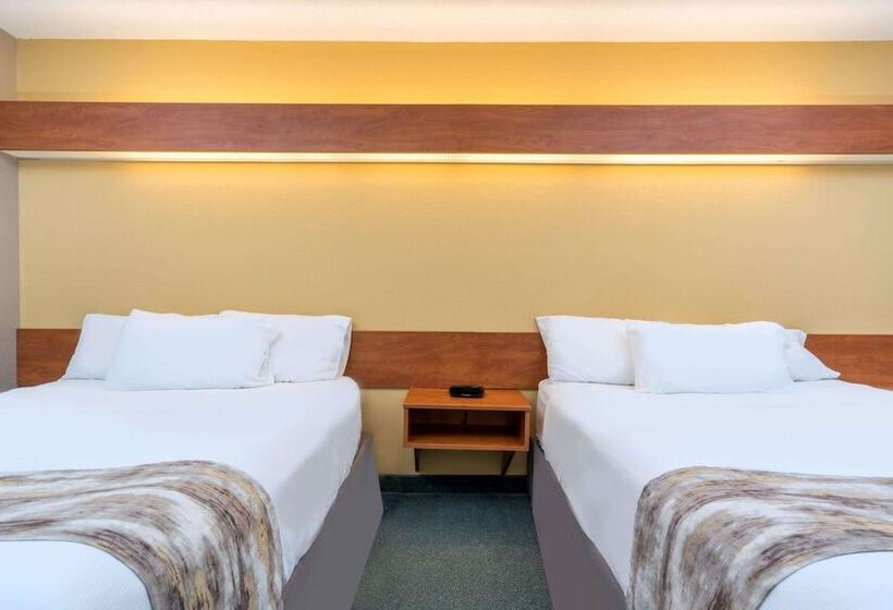 غرفة قياسية لذوى الاحتياجات الخاصة, Microtel Inn & Suites By Wyndham New Ulm