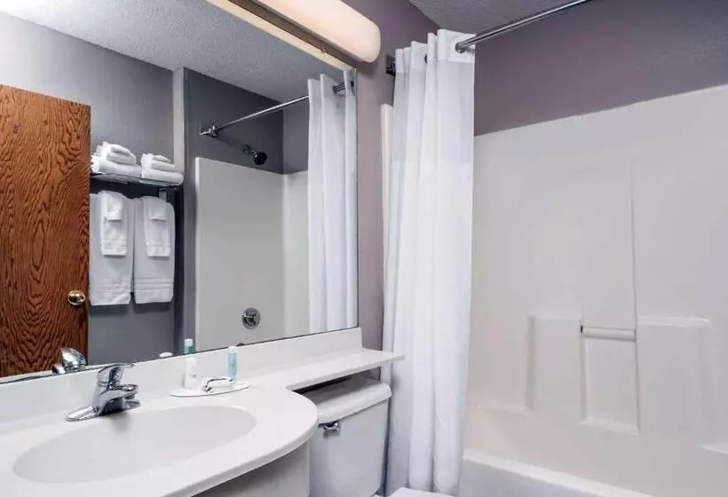 スタンダードスタジオ, Microtel Inn & Suites By Wyndham New Ulm