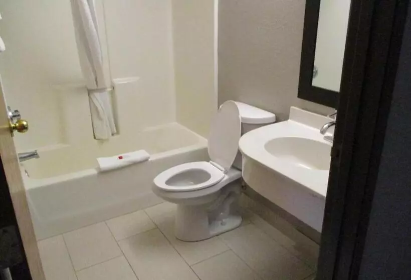スタンダードルーム, Microtel Inn & Suites By Wyndham New Ulm