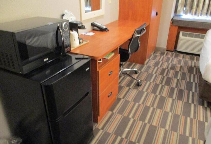 غرفة قياسية لذوى الاحتياجات الخاصة, Microtel Inn & Suites By Wyndham New Ulm