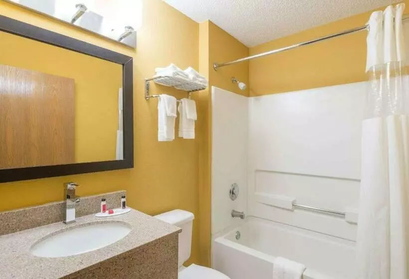 スタンダードルーム, Microtel Inn & Suites By Wyndham Riverside