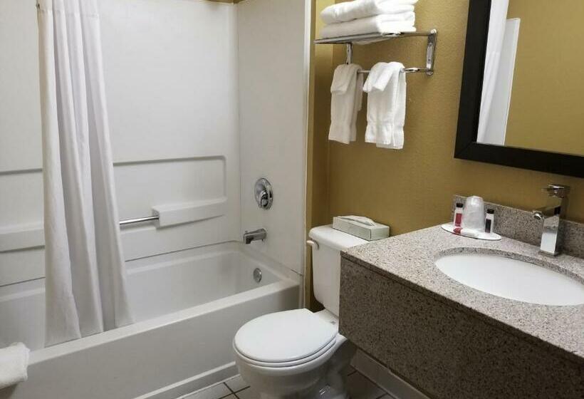 غرفة قياسية, Microtel Inn & Suites By Wyndham Riverside