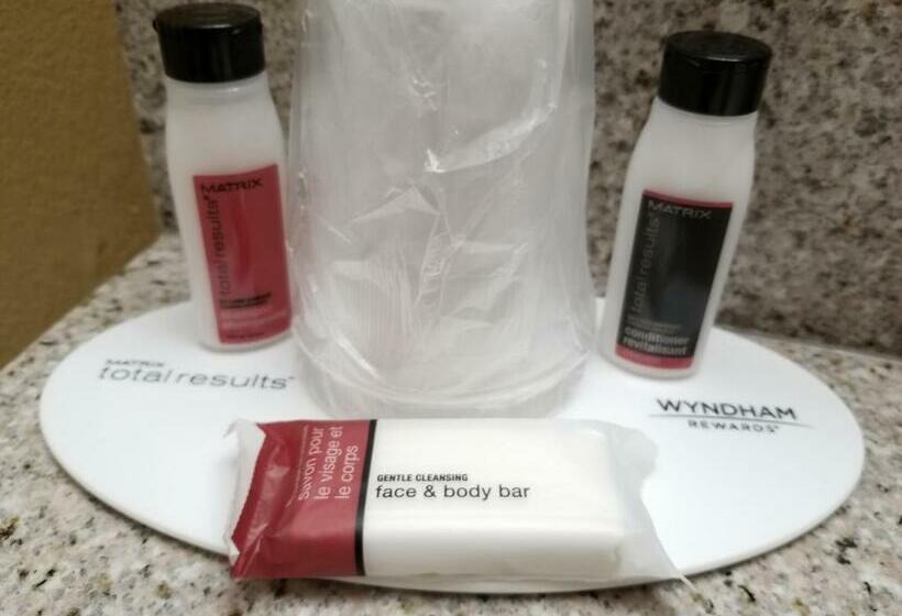 غرفة قياسية لذوى الاحتياجات الخاصة, Microtel Inn & Suites By Wyndham Riverside