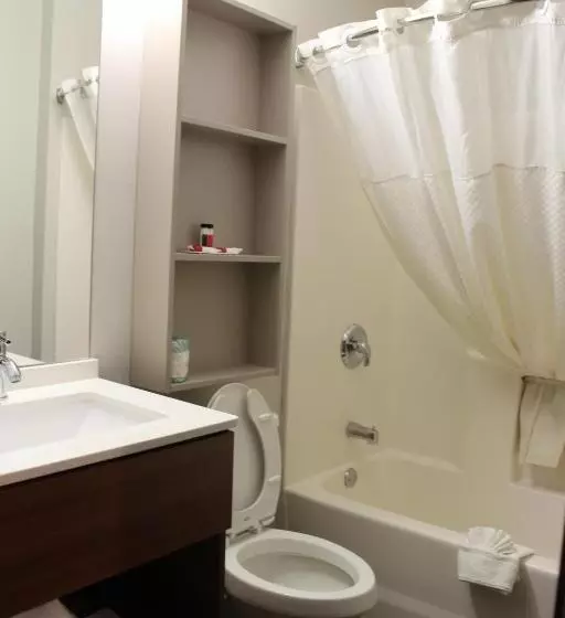 スイート, Microtel Inn & Suites By Wyndham